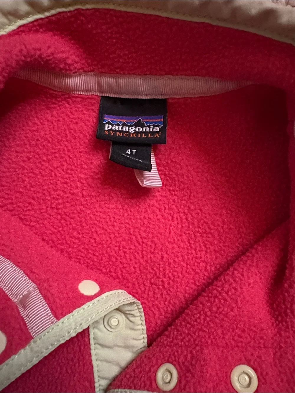 Patagonia Kids fleece Snap Pullover (4T)